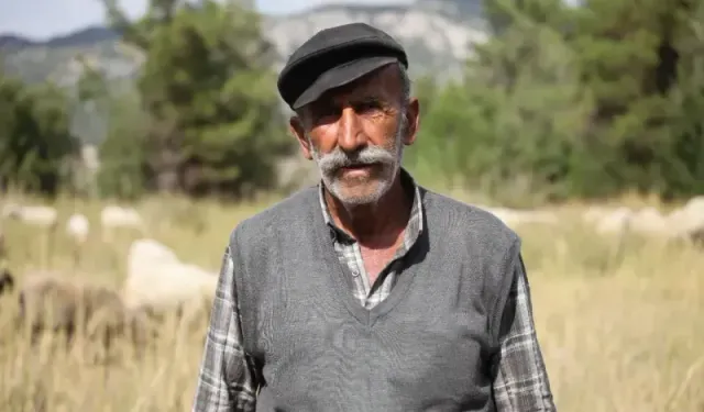 Burdur'un dağlarında yarım asırdır koyunların peşinde