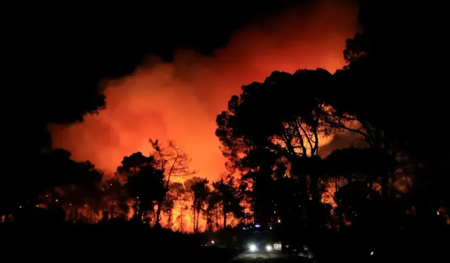 Antalya'da otellere yakın ormanlık alanda çıkan yangın kontrol altına alındı