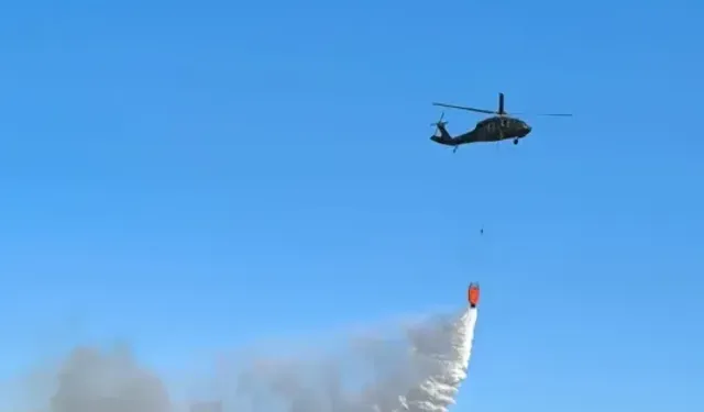 Diyarbakır'da orman yangını söndürüldü!