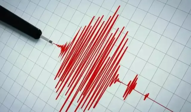 Şiddetli depremle sarsılan Endonezya'da bir sarsıntı daha! Beklenen uyarı gelmedi