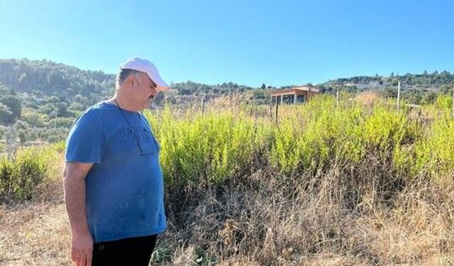 İstanbul'a bir günlüğüne iş seyahatine gitti, döndüğüne keçilerini parçalanmış halde buldu