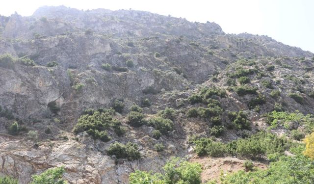 Doğa gezisine çıktı, sonra haber alınamadı