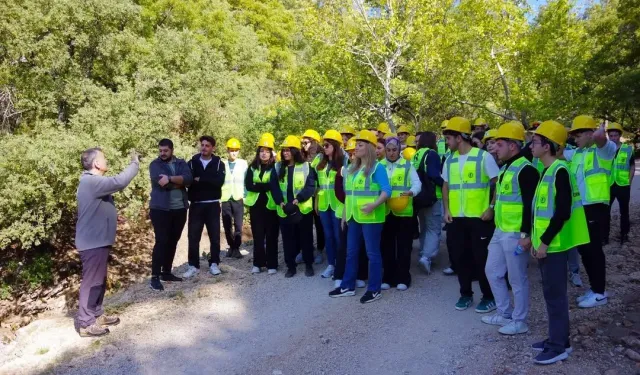Orman Fakültesi Öğrencileri Doğal Bitki Türlerini Yerinde İnceledi