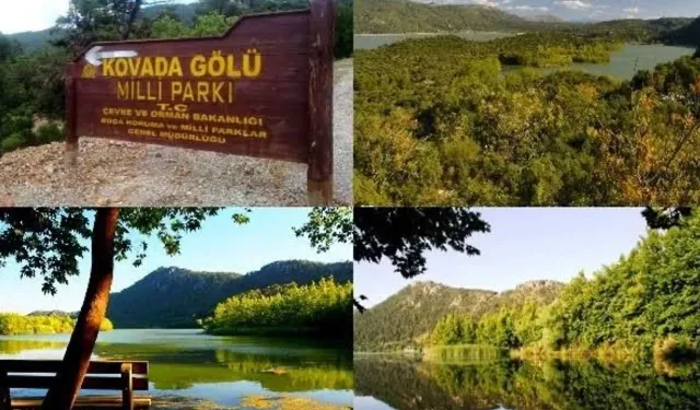 Doğanın Eşsiz Güzelliği Kovada, Yok Olma Eşiğinde