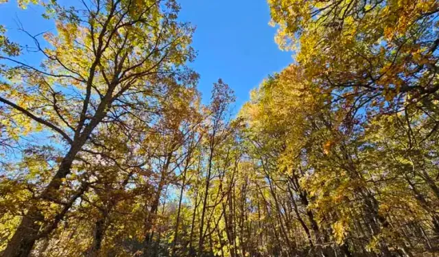 Isparta'nın saklı cenneti