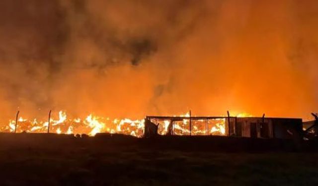 İzmir Alev Alev Yanıyor!