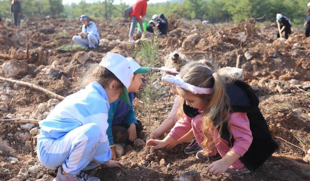 Kepezli Minikler, yangın sonrası orman alanına umut dikti
