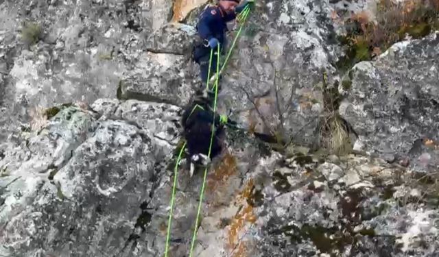 Burdur'da mahsur kalan keçiler ekipler tarafından kurtarıldı