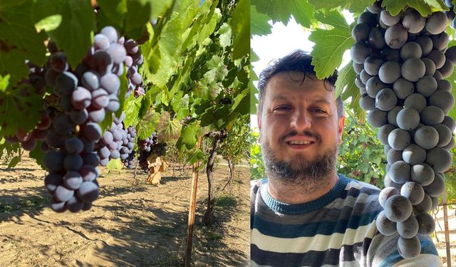 Kuyucak Köyü’nde Hasat Sezonu Sona Yaklaştı: Üreticilerden Bereketli Yıl Değerlendirmesi