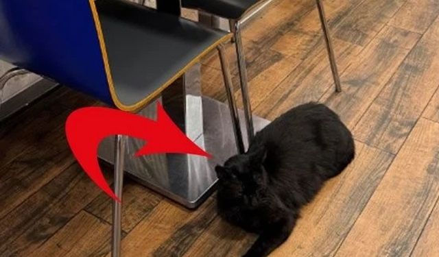 Günün Karesi: Isparta'da Müşteri Şikayetçi Oldu "Sağlık Personeliyim..."