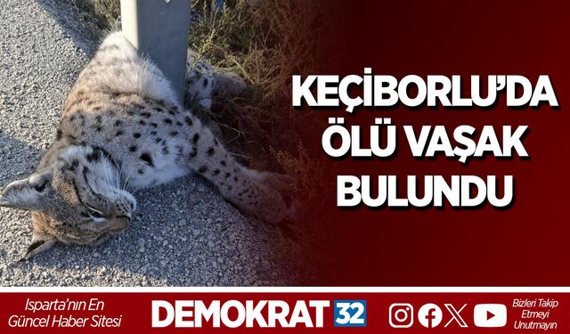 KEÇİBORLU’DA ÖLÜ VAŞAK BULUNDU