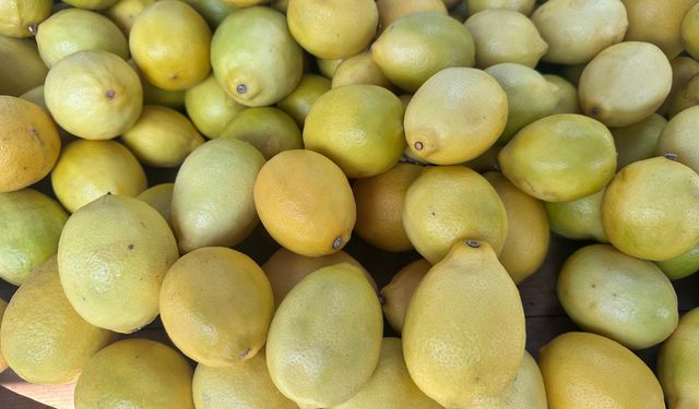 Limon Fiyatı 8 Ayda Yaklaşık Üçe Katlandı