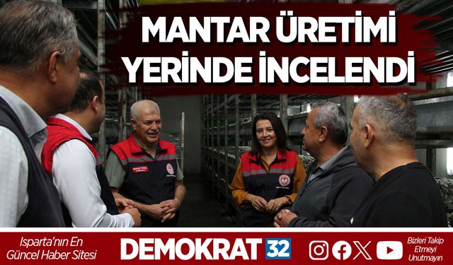 Modern Mantar Üretimi Yerinde İncelendi