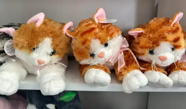 PELÜŞ OYUNCAKLAR GÖRÜNDÜĞÜ KADAR MASUM DEĞİL