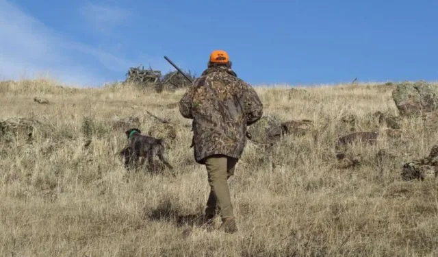 Uluborlu’da planlanan domuz avı faaliyet raporu tamamlandı