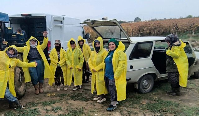 İşçiler yağmur ve çamuru aldırış etmeden üretime devam ediyor