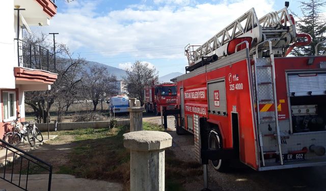 Bucak'ta bacada yangın paniği