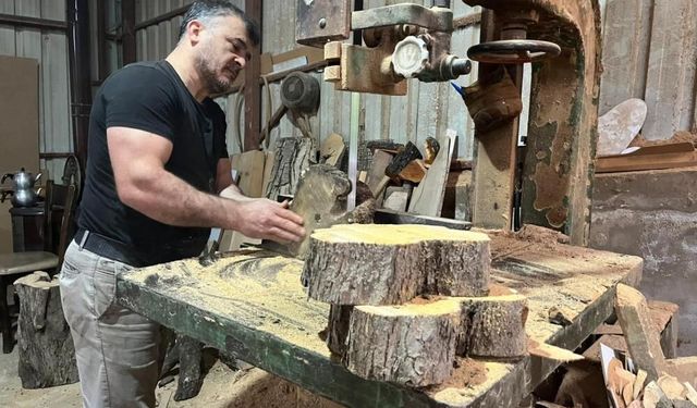 Çürümüş zeytin ağaçlarını sanat eserine dönüştürüyor