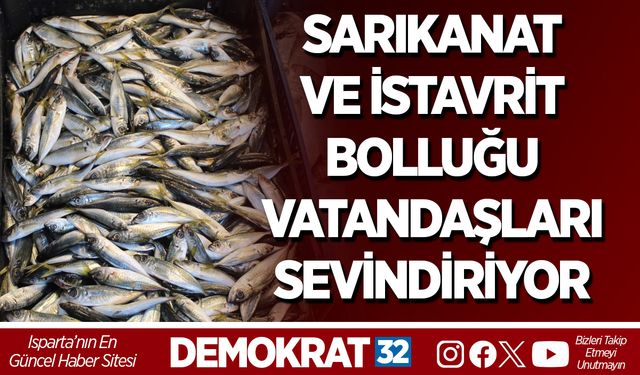 TEZGÂHLARDA SARIKANAT VE İSTAVRİT BOLLUĞU VATANDAŞLARI SEVİNDİRİYOR