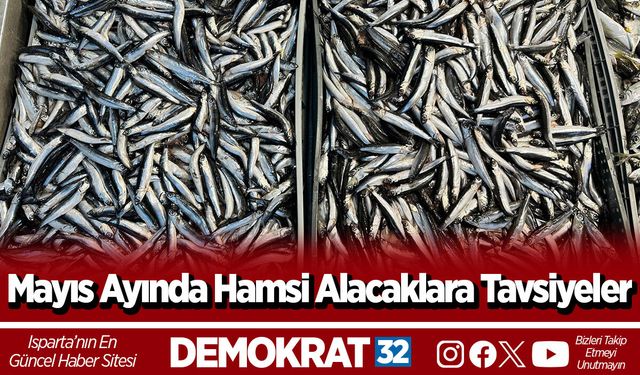 Mayıs Ayında Hamsi Alacaklara Tavsiyeler