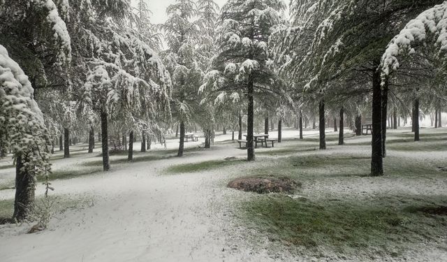 Isparta'da Kar Yağışı Başladı