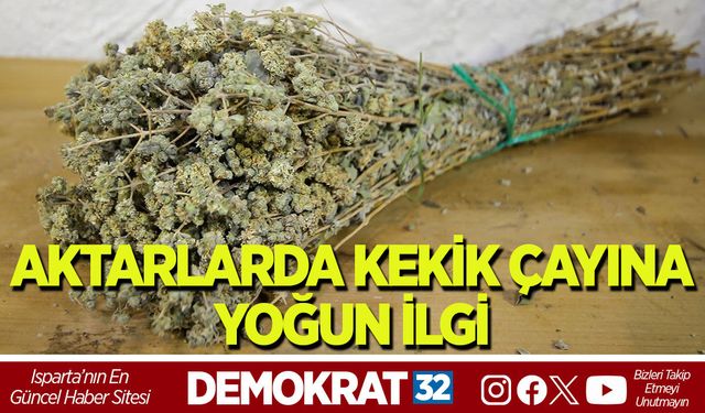 AKTARLARDA KEKİK ÇAYINA YOĞUN İLGİ