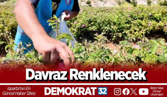 Davraz Renklenecek