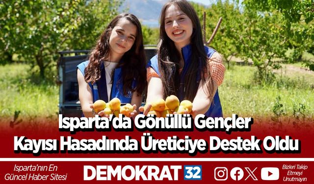 Isparta'da Gönüllü Gençler Kayısı Hasadında Üreticiye Destek Oldu