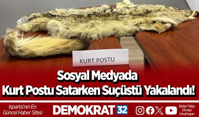 Sosyal Medyada Kurt Postu Satarken Suçüstü Yakalandı!