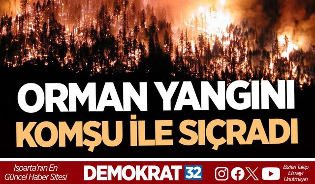 ORMAN YANGINI KOMŞU İLE SIÇRADI