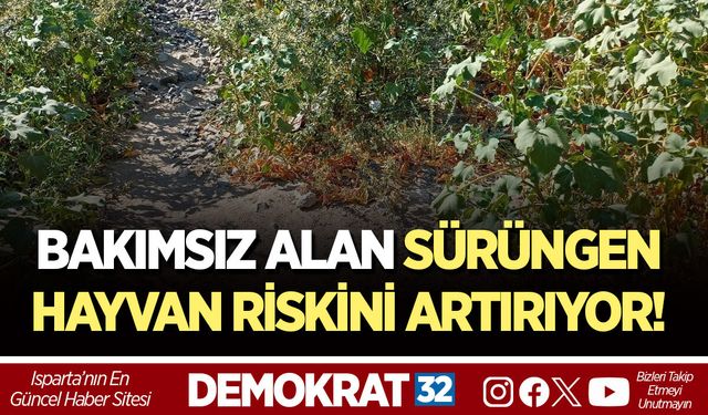 BAKIMSIZ ALAN SÜRÜNGEN HAYVAN RİSKİNİ ARTIRIYOR!