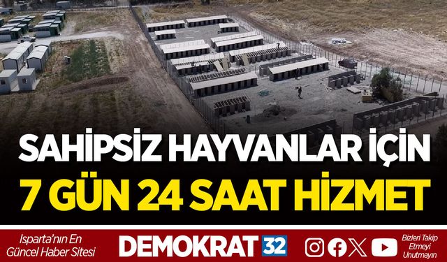 SAHİPSİZ HAYVANLAR İÇİN 7 GÜN 24 SAAT HİZMET