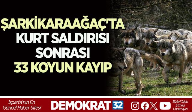 ŞARKİKARAAĞAÇ'TA KURT SALDIRISI SONRASI 33 KOYUN KAYIP
