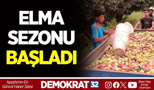 SENİRKENT’TE ELMA SEZONU BAŞLADI