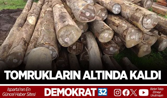 TOMRUKLARIN ALTINDA KALDI