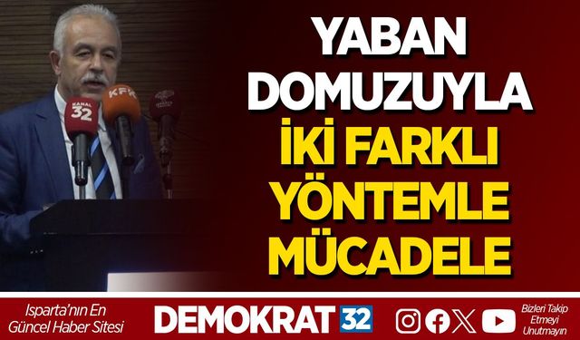 YABAN DOMUZUYLA İKİ FARKLI YÖNTEMLE MÜCADELE