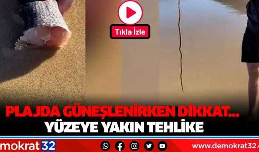 Plajda güneşlenirken dikkat... Yüzeye yakın tehlike