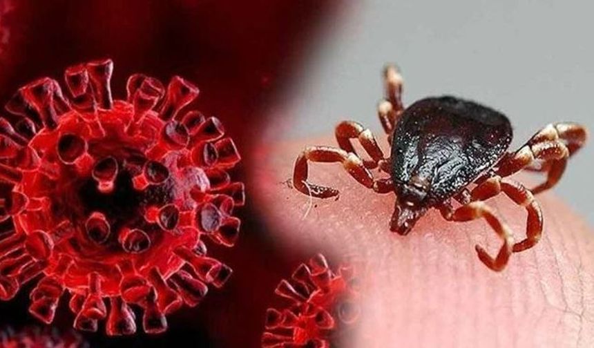 Sivas'ta Kırım Kongo Kanamalı Ateşi Kabusu: Peş Peşe Üç Ölüm