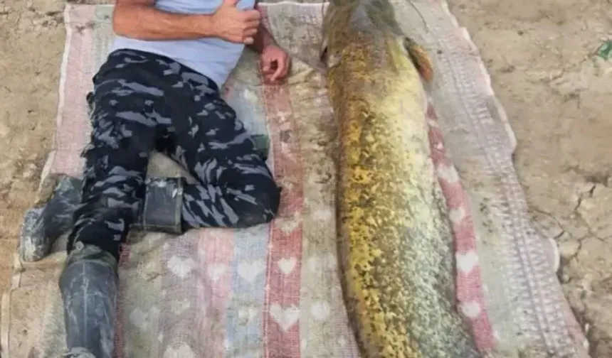 Yalvaç Sücüllü Barajında 42 Kiloluk Yayın Balığı Yakalandı