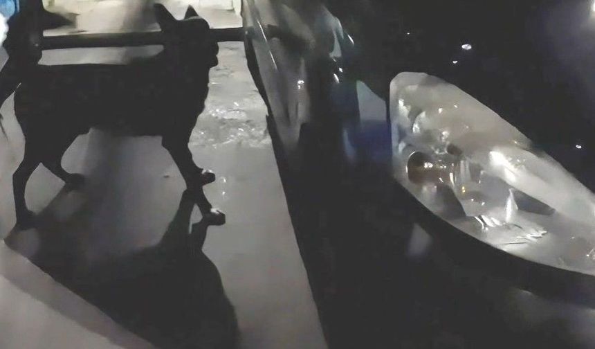 Antalya'da aracın gizli bölmelerine saklanan uyuşturucu, polisin gözünden kaçmadı