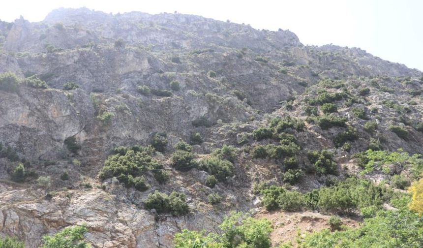 Doğa gezisine çıktı, sonra haber alınamadı