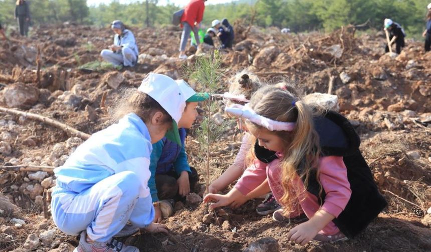 Kepezli Minikler, yangın sonrası orman alanına umut dikti