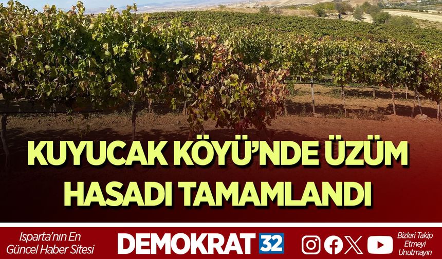 Kuyucak Köyü’nde Üzüm Hasadı Tamamlandı