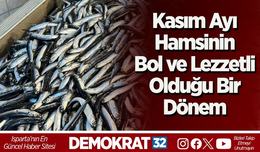 Kasım Ayı Hamsinin Bol ve Lezzetli Olduğu Bir Dönem