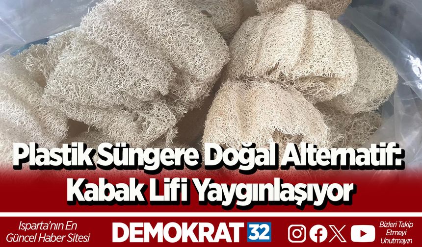 Plastik Süngere Doğal Alternatif: Kabak Lifi Yaygınlaşıyor
