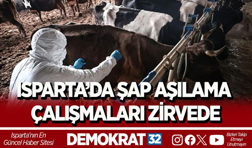 ISPARTA’DA ŞAP AŞILAMA ÇALIŞMALARI ZİRVEDE