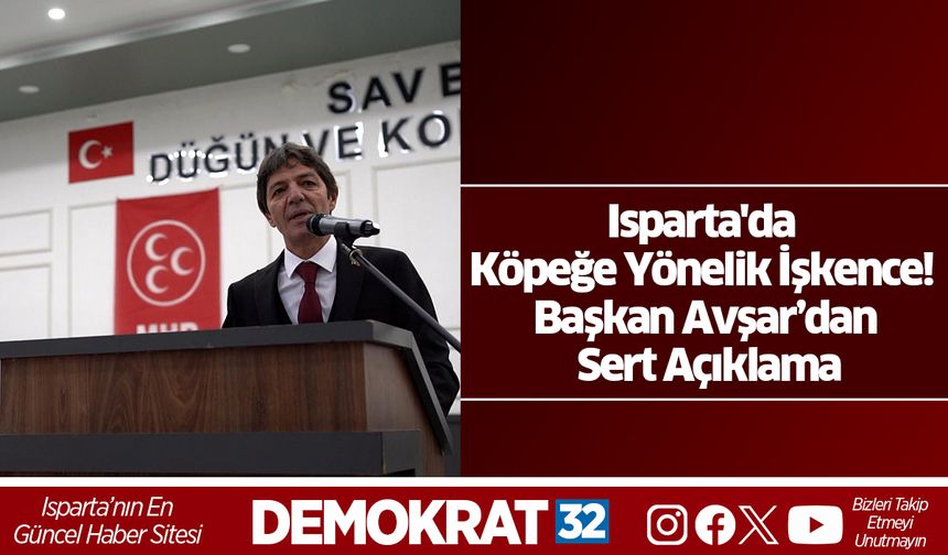 Isparta'da Köpeğe Yönelik İşkence! Başkan Avşar’dan Sert Açıklama