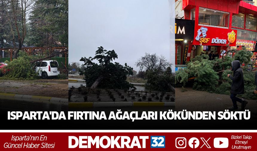 Isparta'da Fırtına Ağaçları Kökünden Söktü
