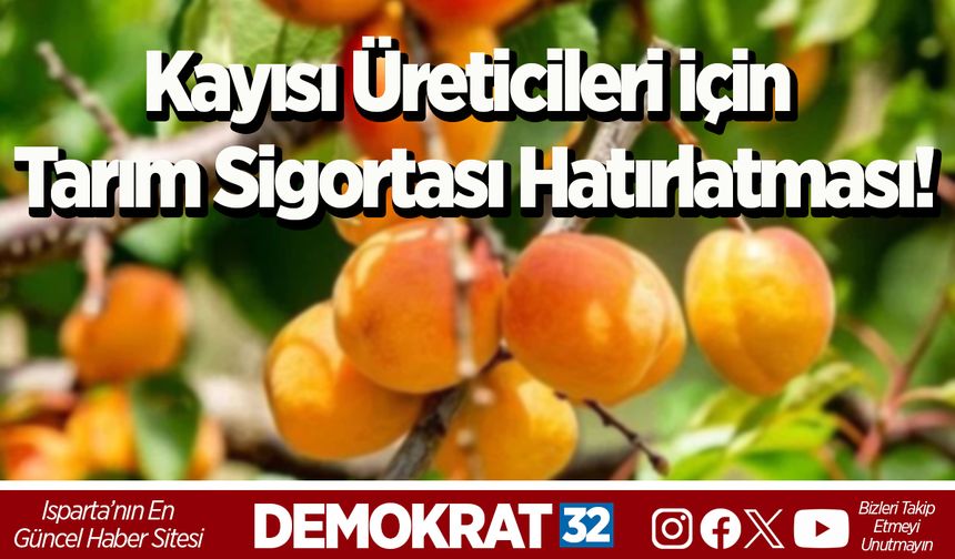 Kayısı Üreticileri için Tarım Sigortası Hatırlatması!