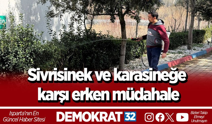 Sivrisinek ve karasineğe karşı erken müdahale